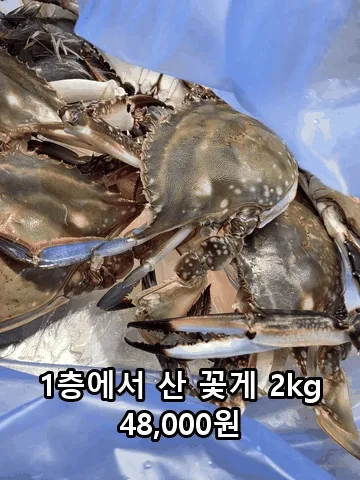 買ったカニが蒸しガニに（写真2枚で作ったGIF）