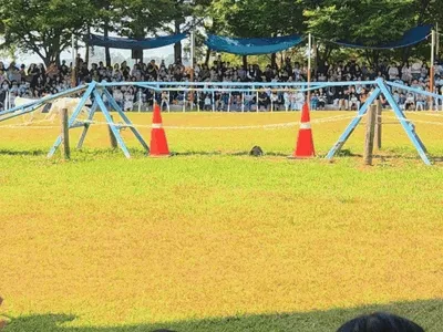 芝生のショー会場を列になって通る動物たち