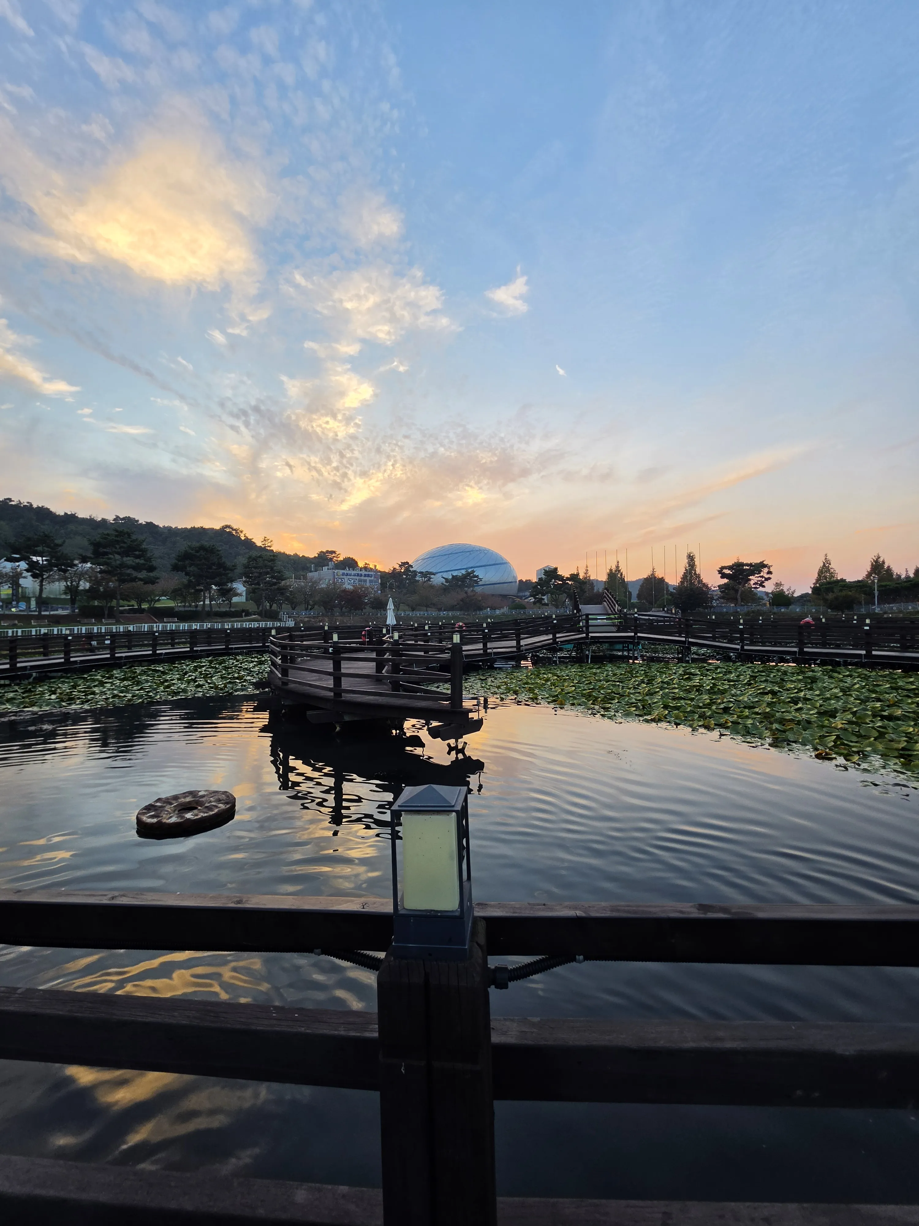 The pond and evening sky photographed during the walk