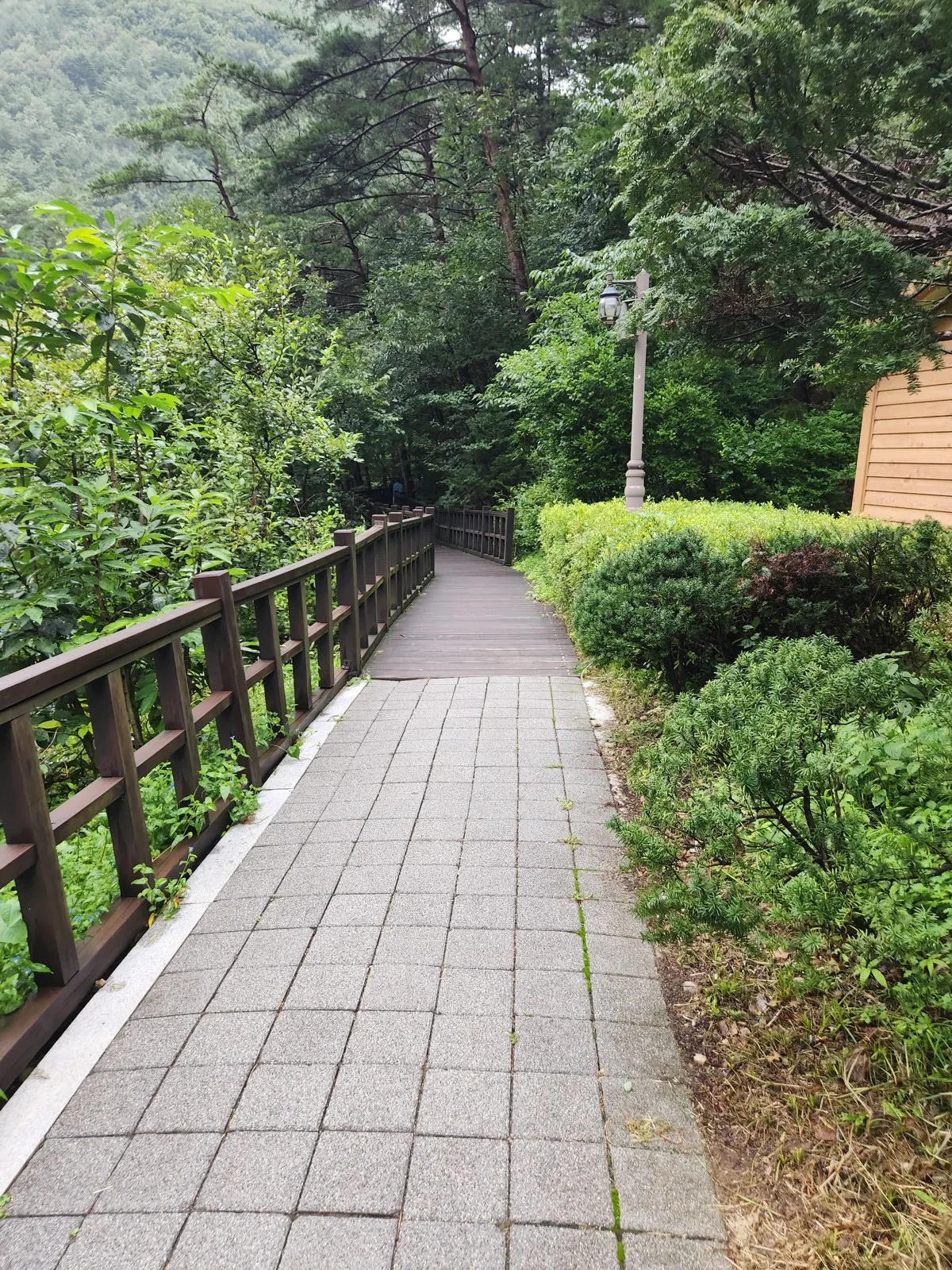 표지석 옆으로 이어지는 숲길 — 보도블록에서 나무 데크로 바뀌는 구간