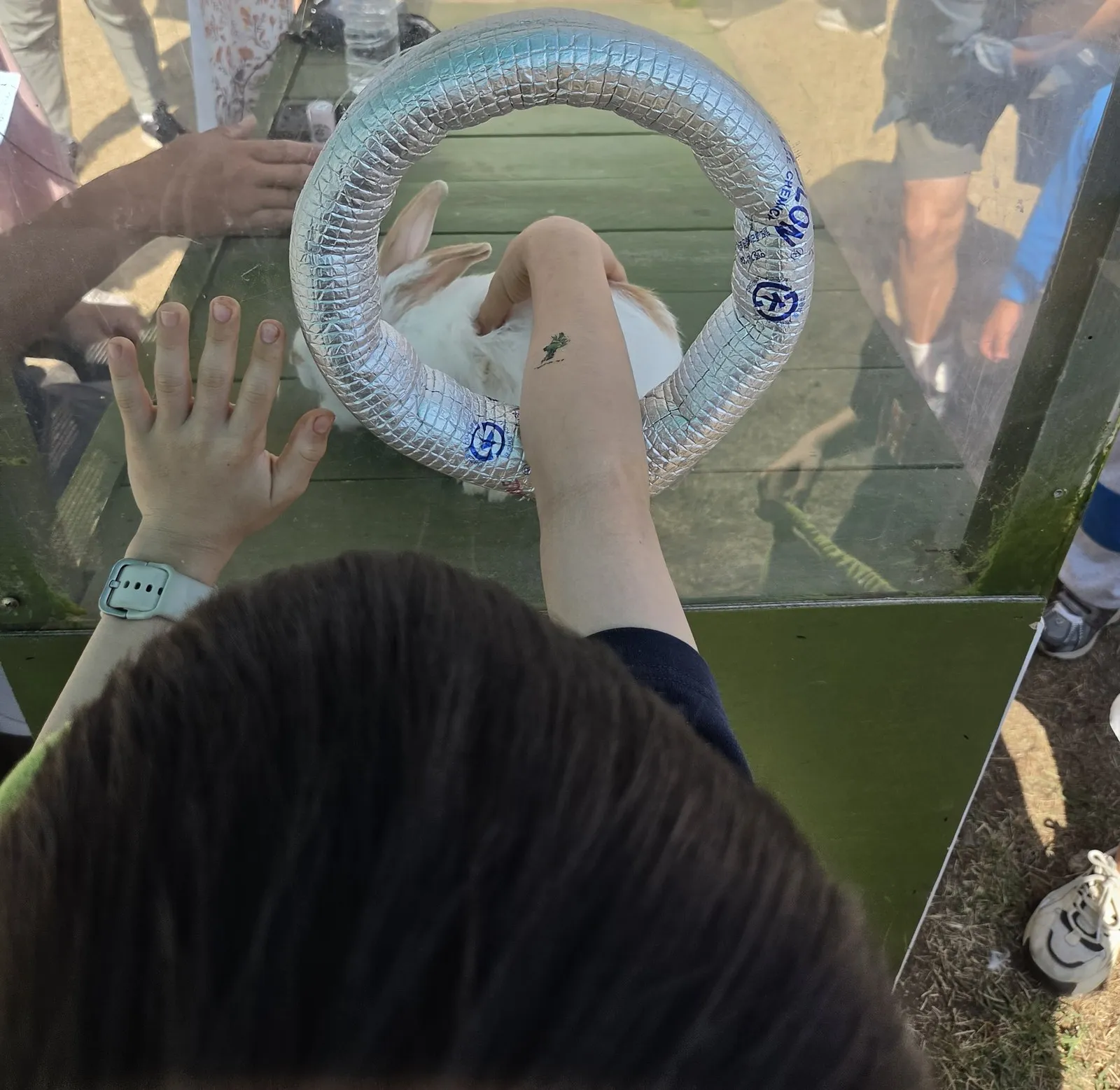 透明な箱の中のうさぎをなでる手