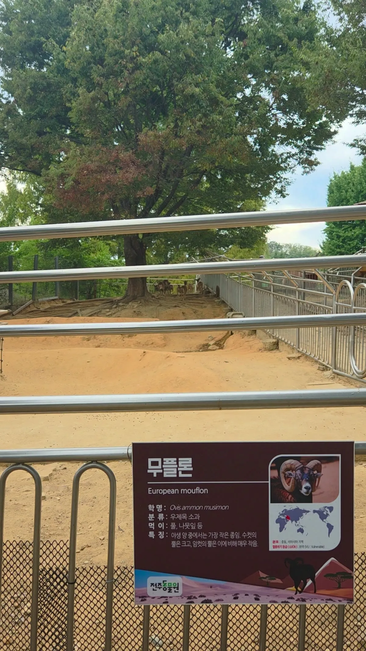 무플론 안내판