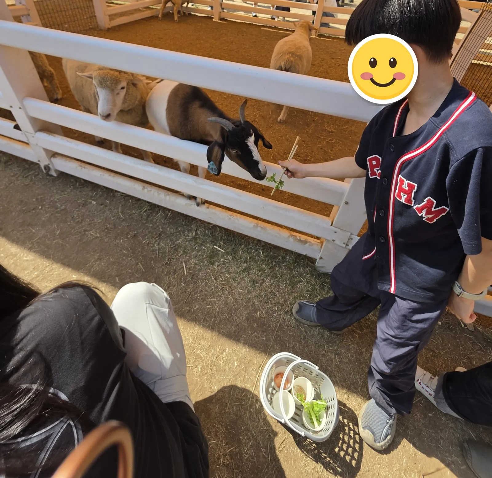 箸でヤギに野菜をあげる・子どもの顔はステッカーで隠しました