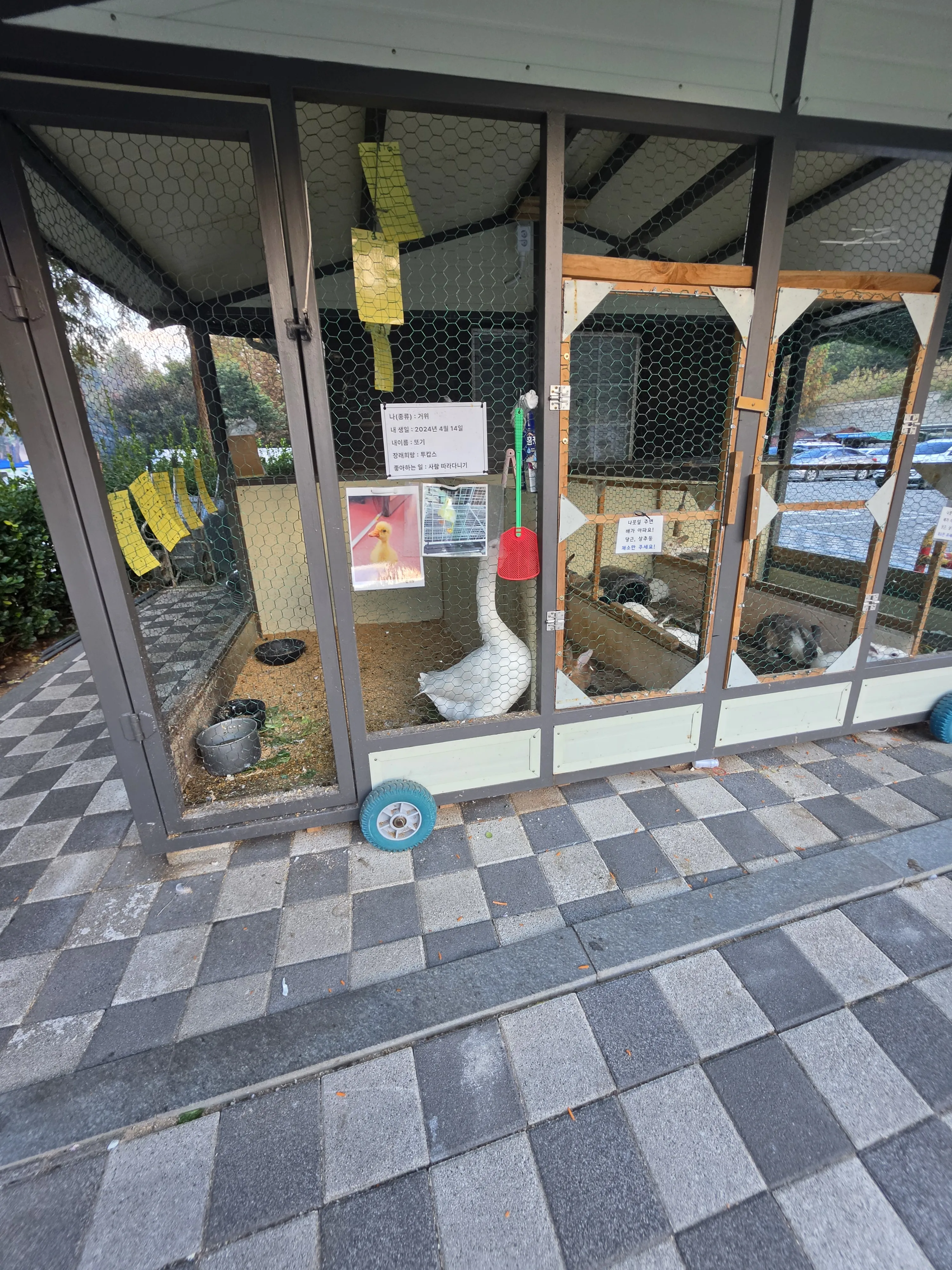 The animal enclosure by the shop
