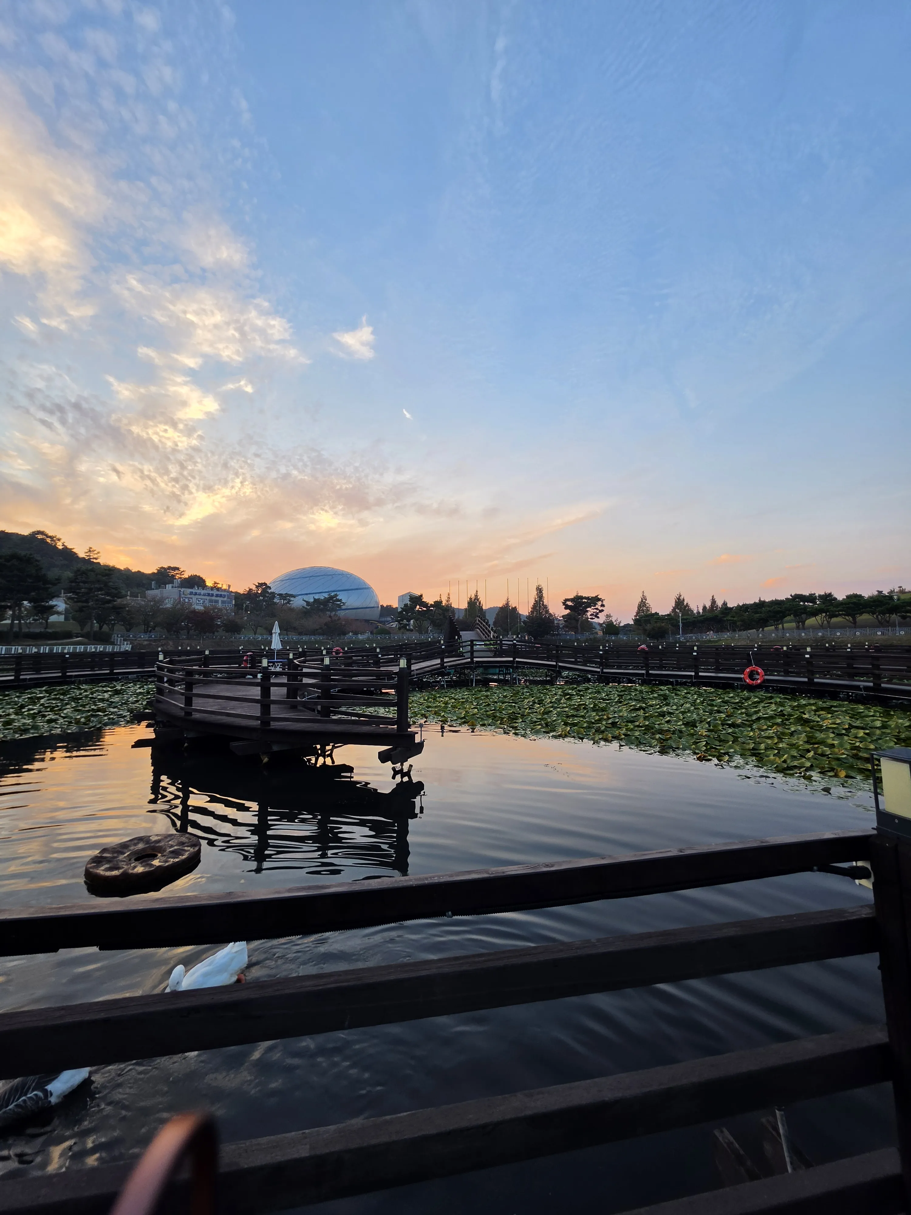 Evening sky reflected beside the wooden walkways