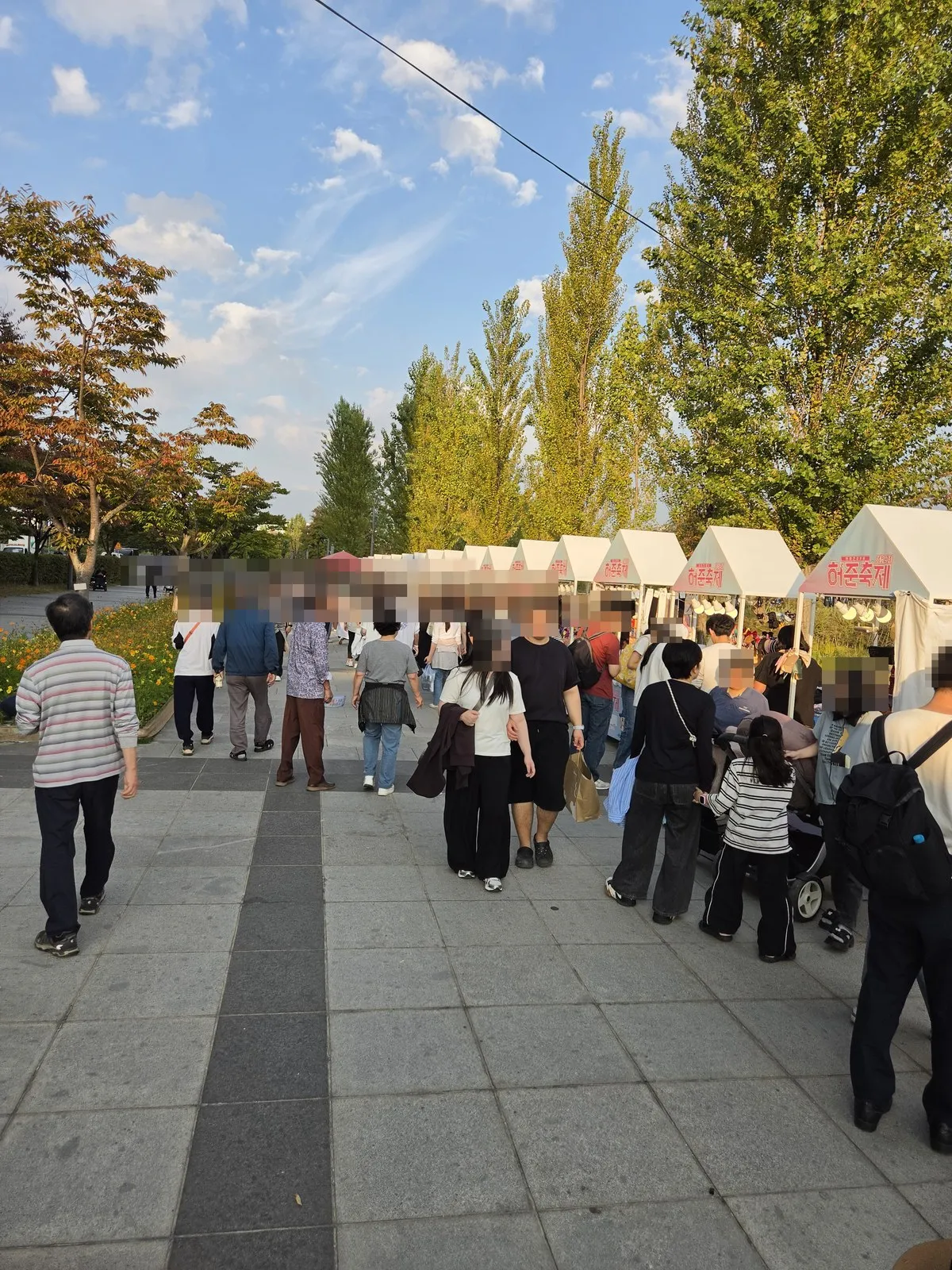 A long road lined with white booths marked "Heo Jun Festival," with cosmos on the left