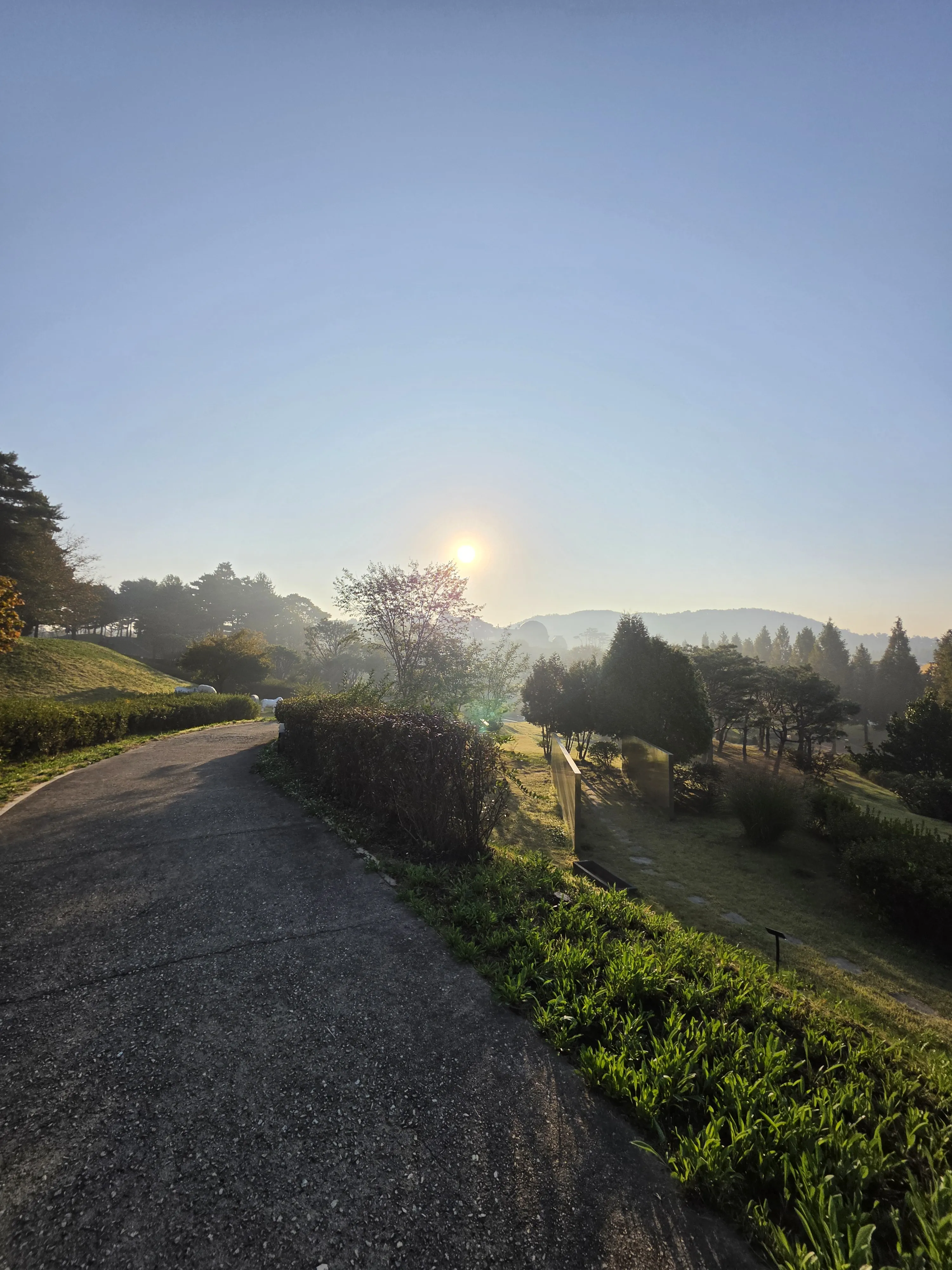 The sun above the trees and a curving path