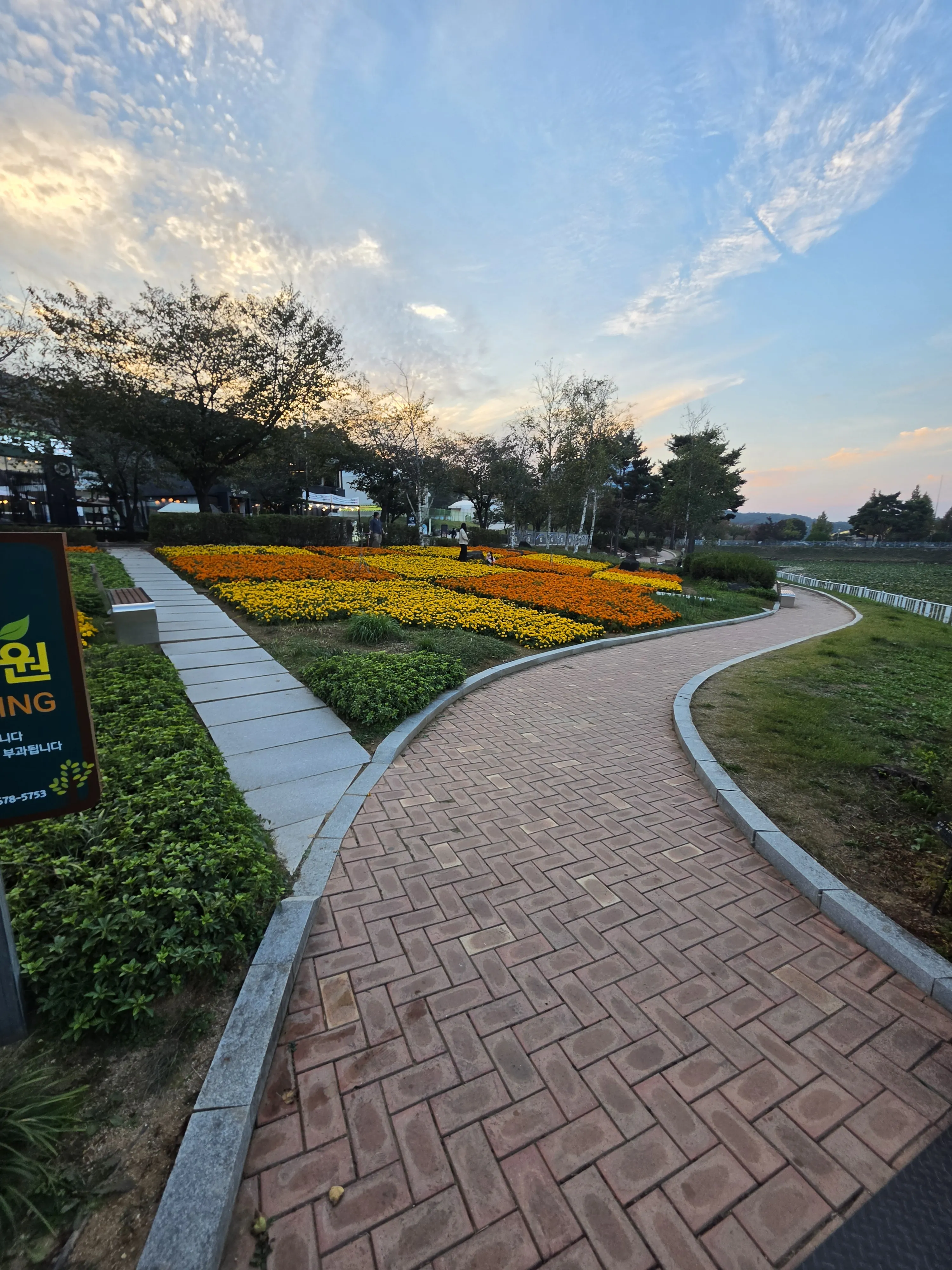 The path beside orange and yellow flower beds