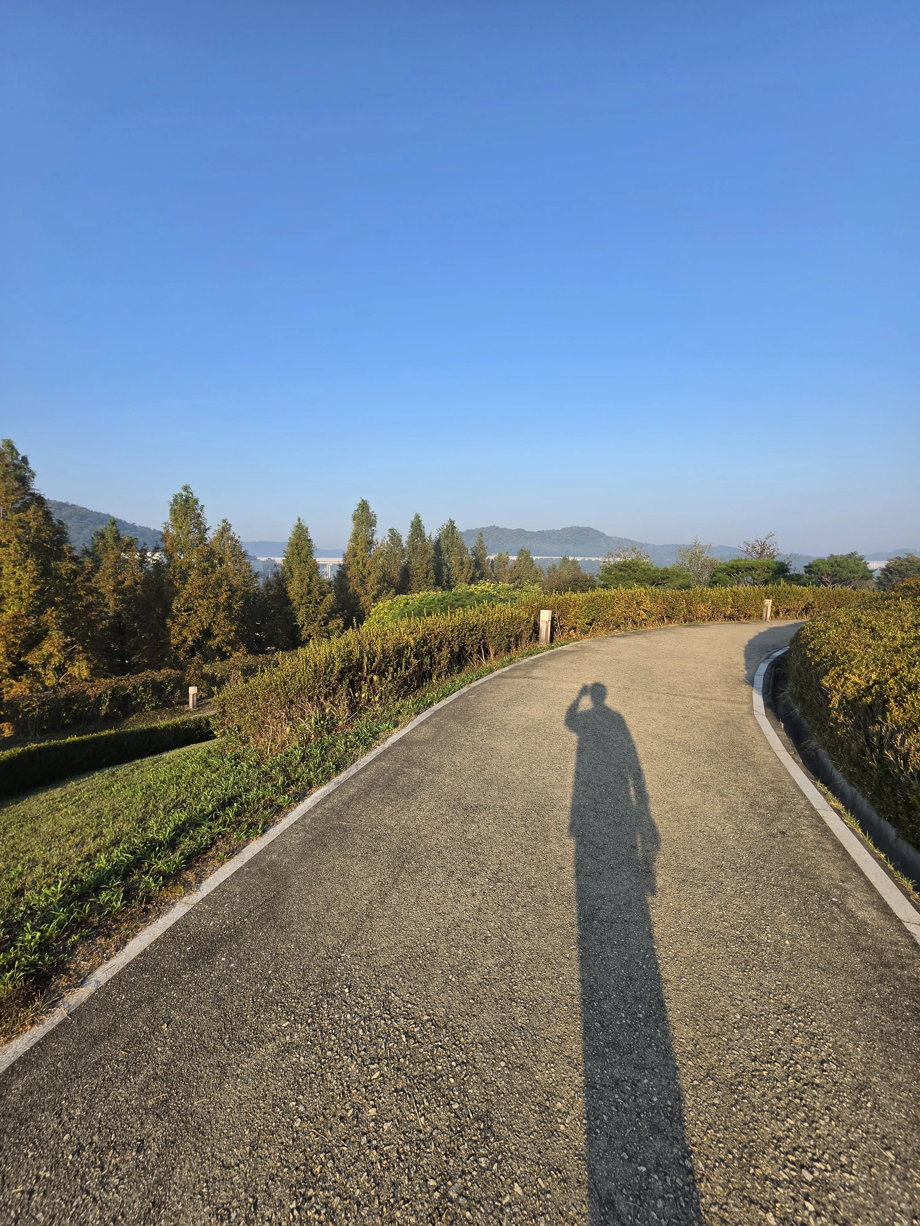 A long shadow on the path beneath a blue sky