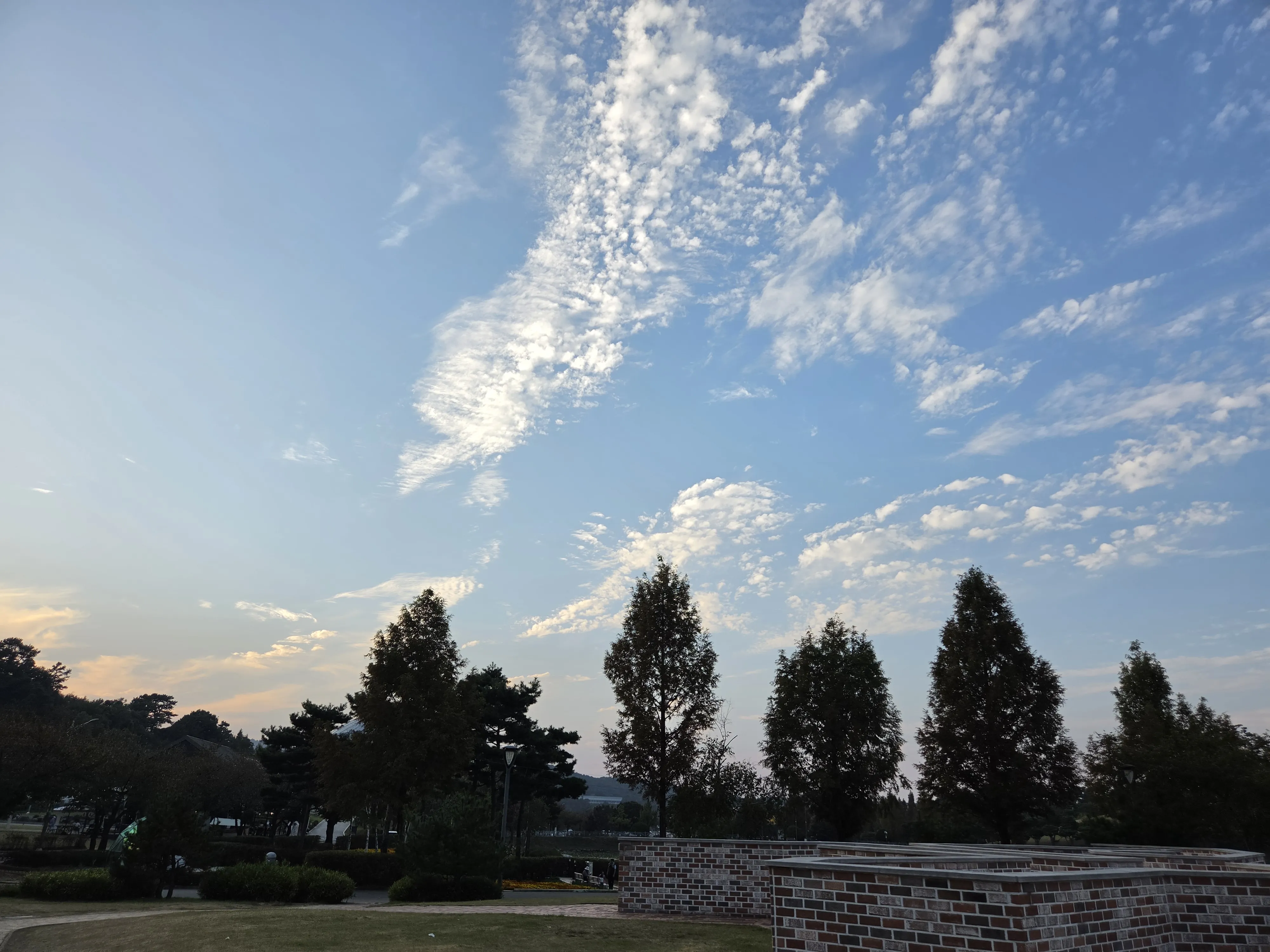 Sky and trees seen during the walk