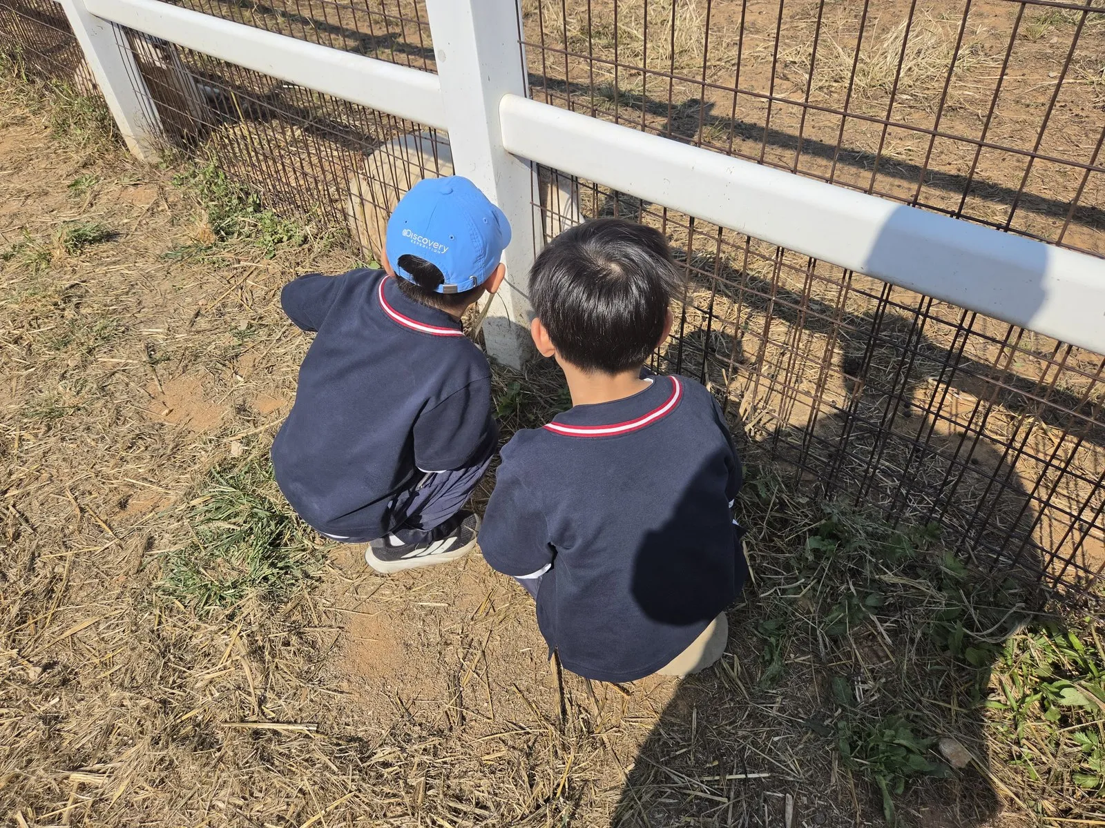 柵の向こうの動物をのぞき込む子どもたちの後ろ姿