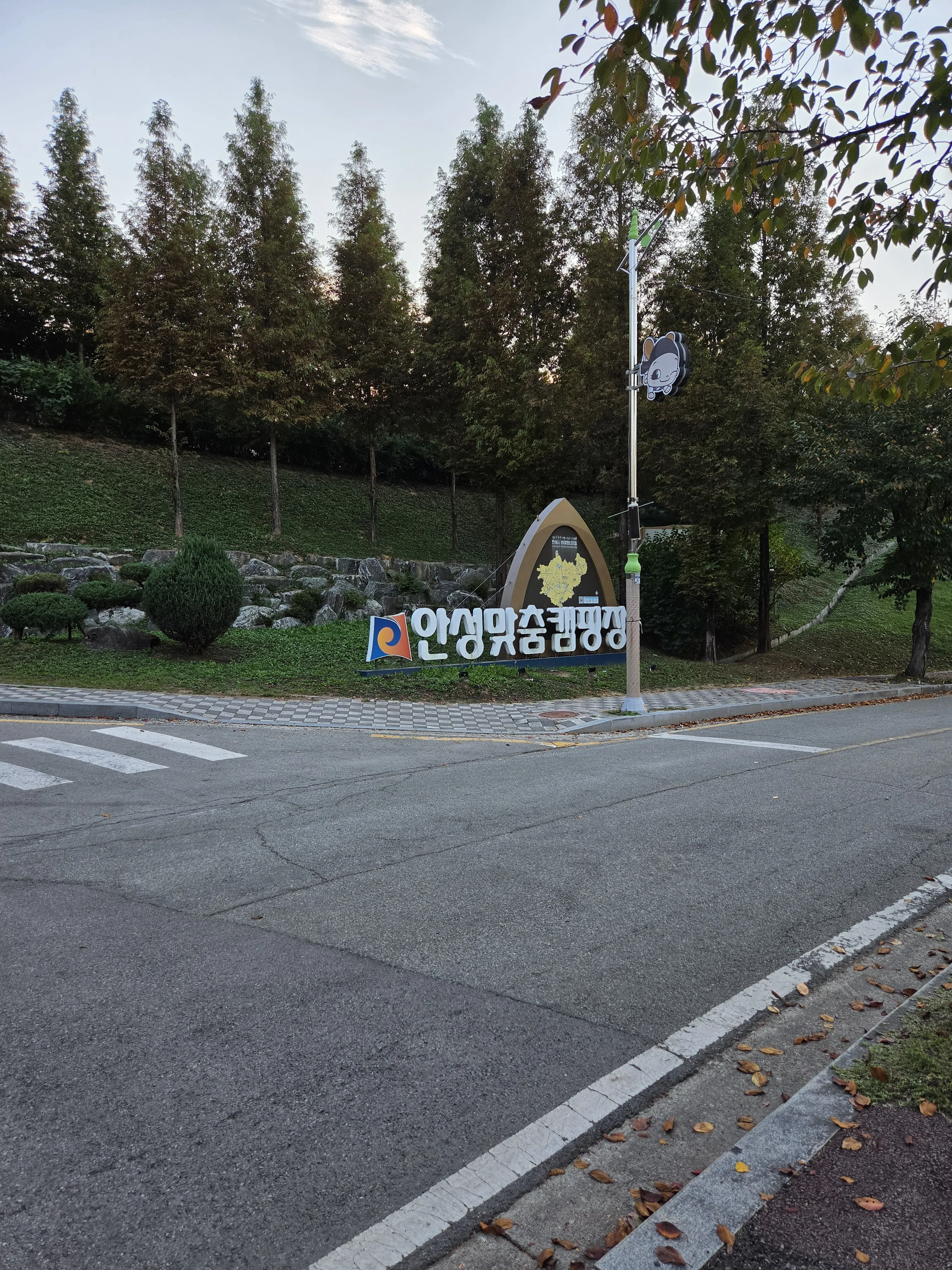 The campsite entrance sign and surrounding trees