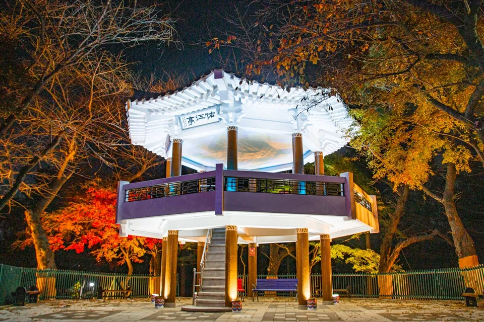 壽峰公園 — 秋日森林中的夜間涼亭（2023年11月）