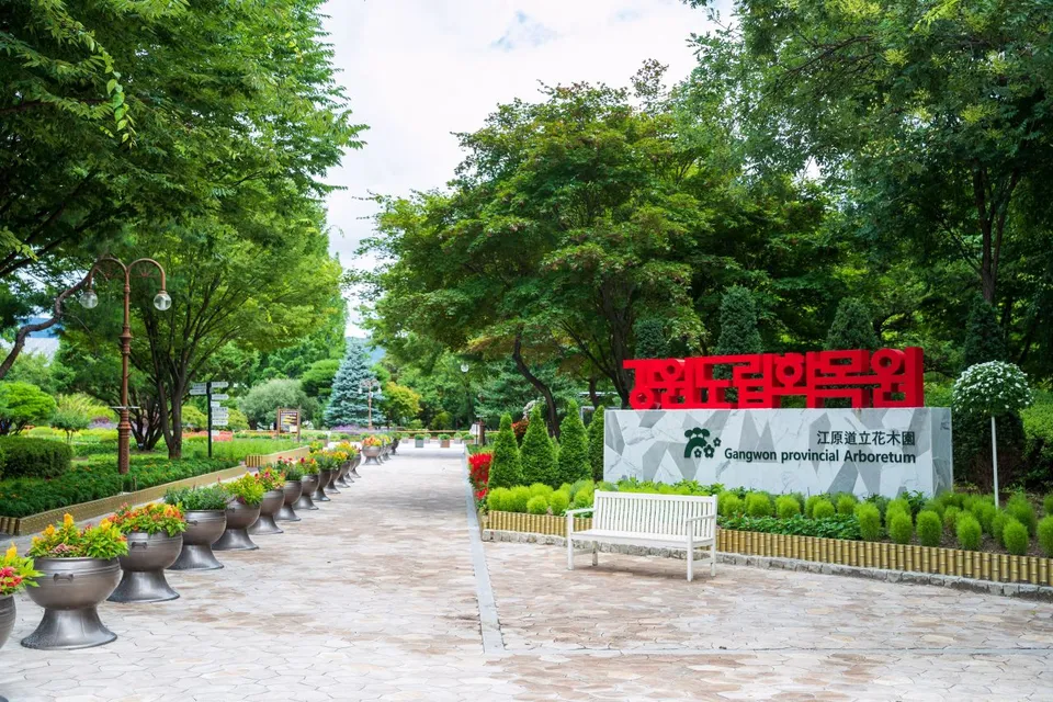 江原特別自治道立花木園（강원특별자치도립화목원）— 植物園入口與花徑（2022年7月）