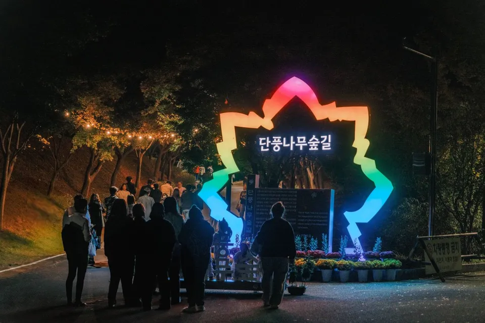독립기념관 — 야간 조명으로 꾸민 단풍나무숲길 입구 (2024년 11월)