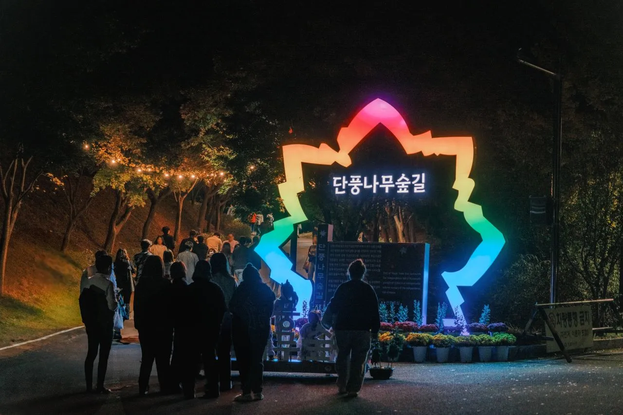 독립기념관 — 야간 조명으로 꾸민 단풍나무숲길 입구 (2024년 11월) (사진: 한국관광공사 관광사진 갤러리 · 촬영 김영호 · 공공누리 제1유형)