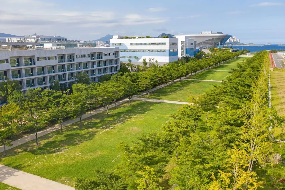 阿米爾公園 — 阿米爾公園草地與海岸建築物全景（2020年）