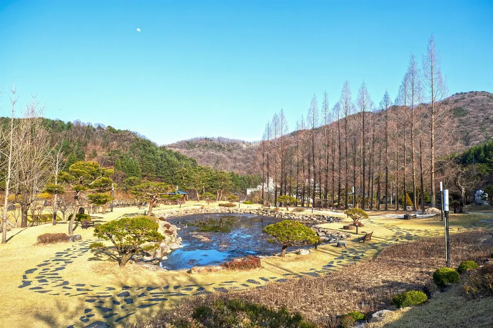 直指文化公園 — 石徑與景觀樹木相映成趣的公園池塘（2021年3月）