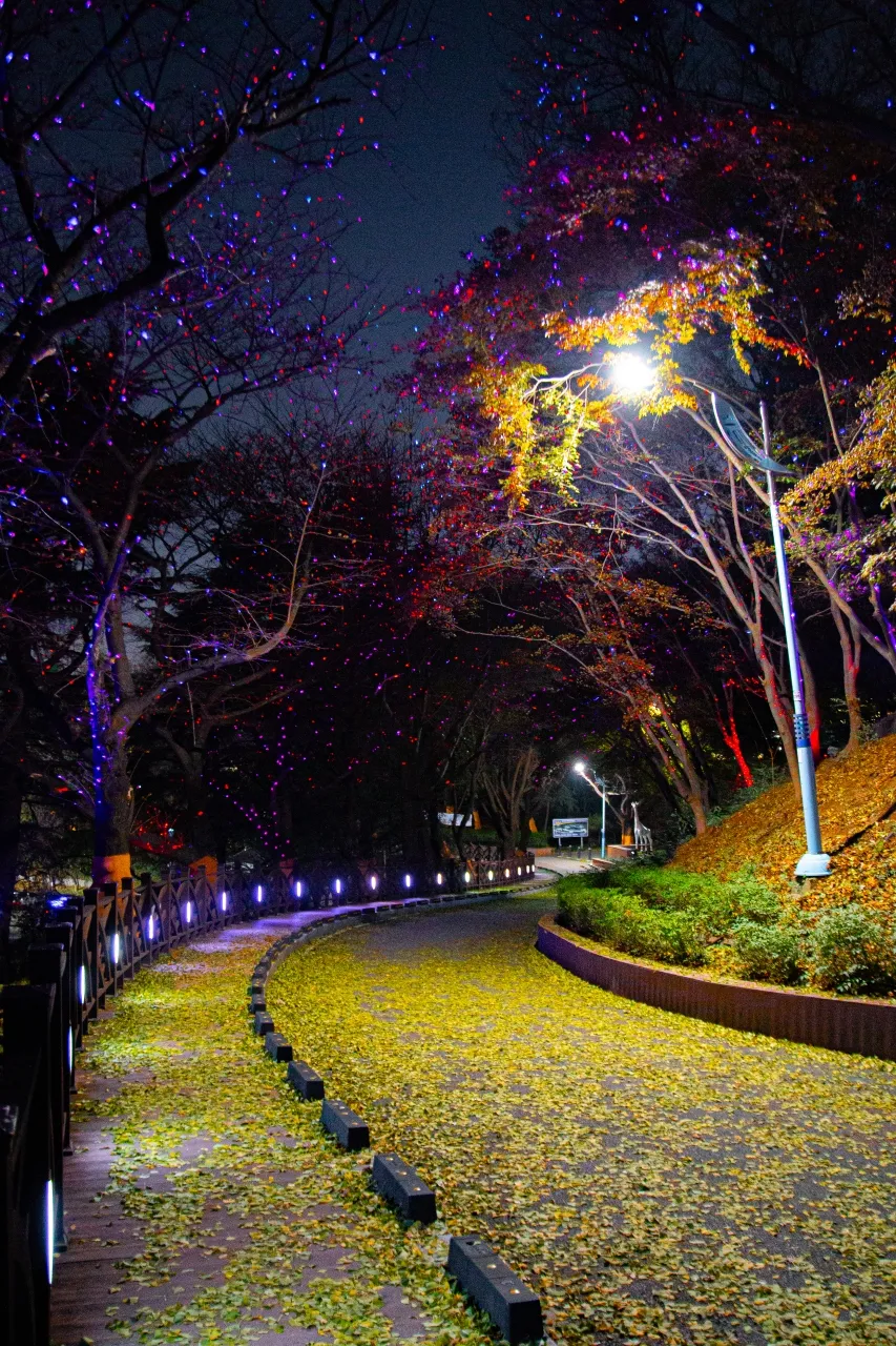 壽峰公園 — 有燈光裝飾的秋日散步小徑（2023年11月）