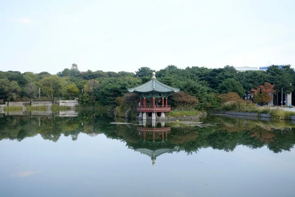 국립중앙박물관 — 연못에 비친 전통 정자와 숲 풍경 (2023년 10월)