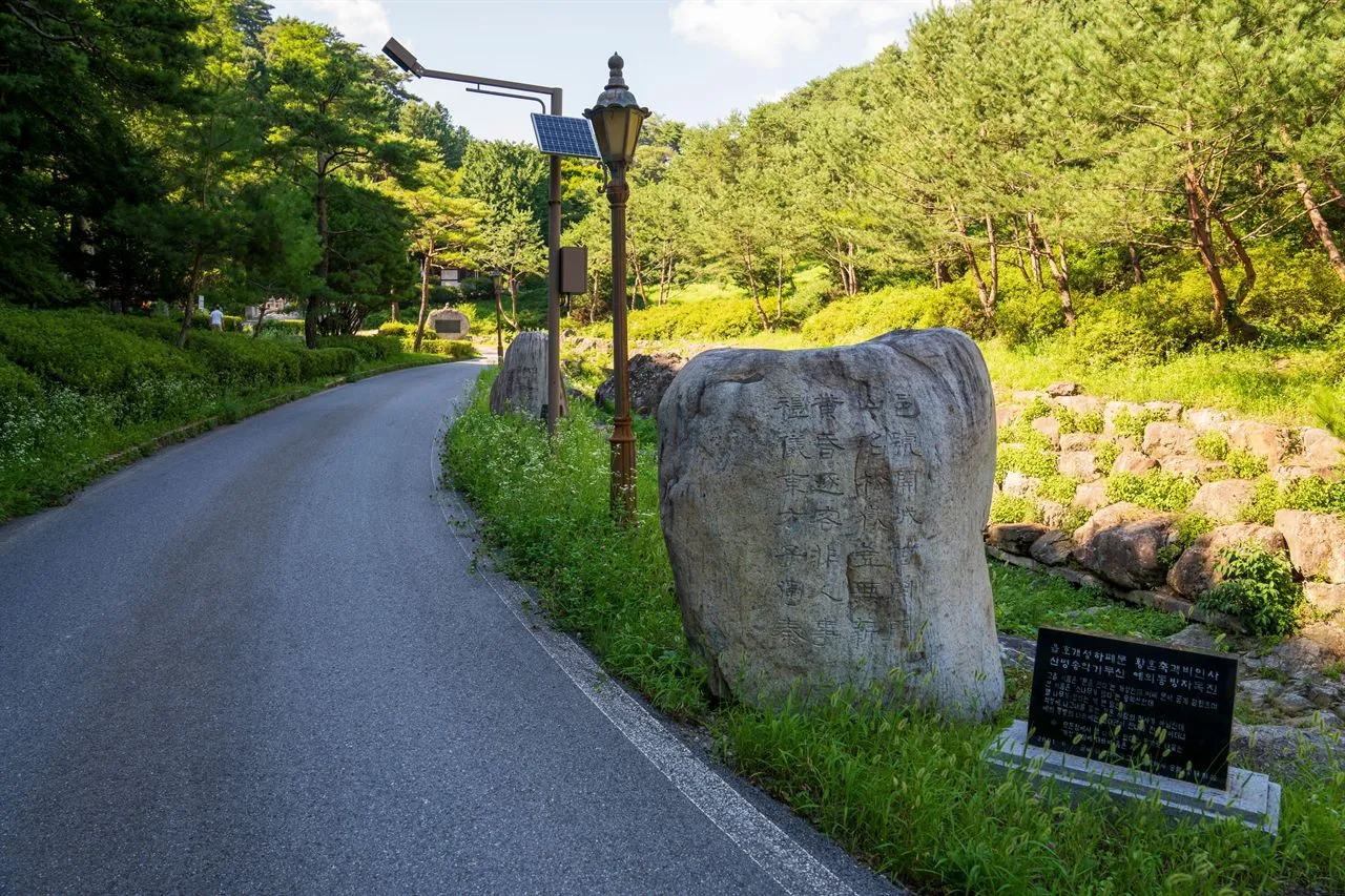 南高金笠笠遺跡 — 松林旁的導覽石與散步道（2025年7月）（照片：韓國觀光公社觀光照片庫・攝影 김지호・公共授權第1類）