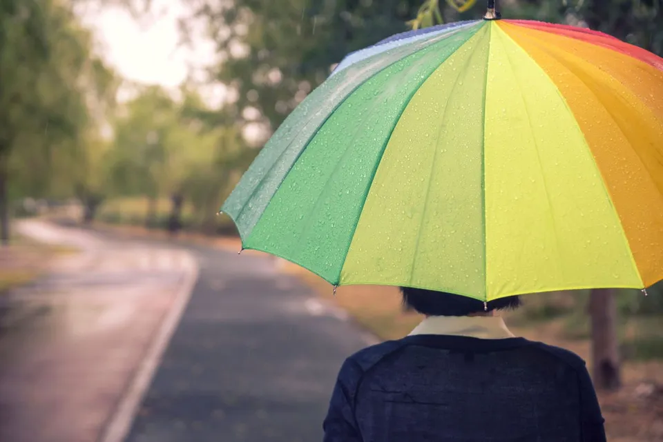 三樂生態公園（2020） — 雨中撐傘走在步道上的人（2020年）