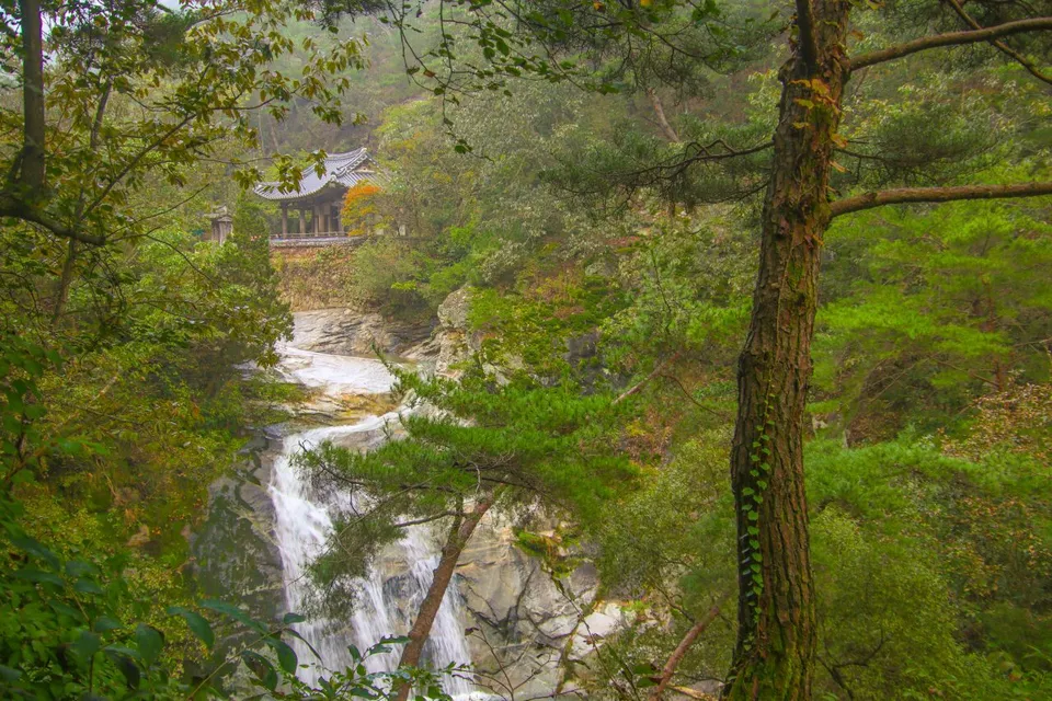 萬休亭 — 茂密森林中的瀑布與樓閣景色（2023年10月）