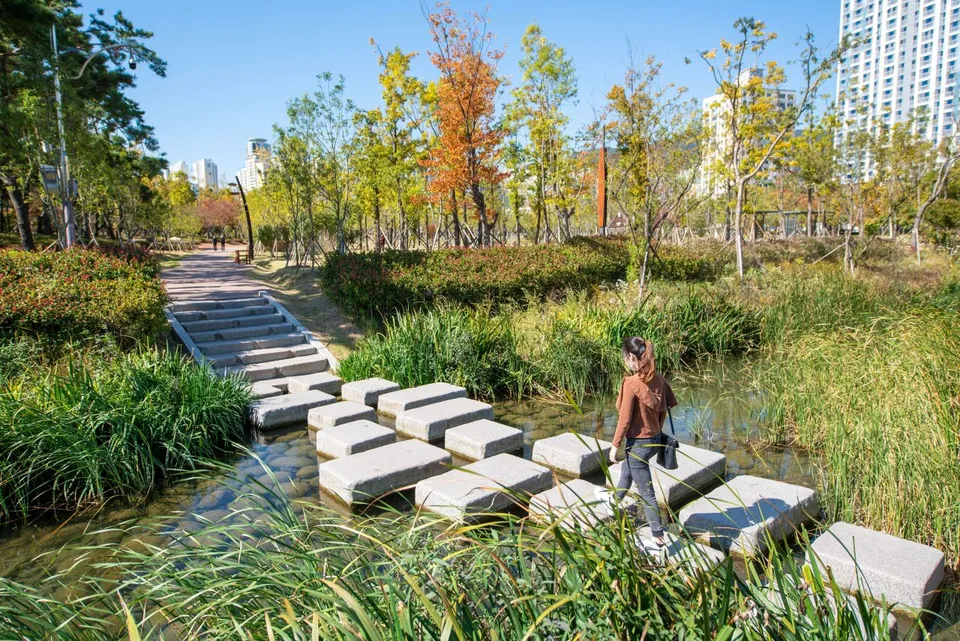 釜山市民公園 — 蘆葦水岸與汀步散步道（2020年）