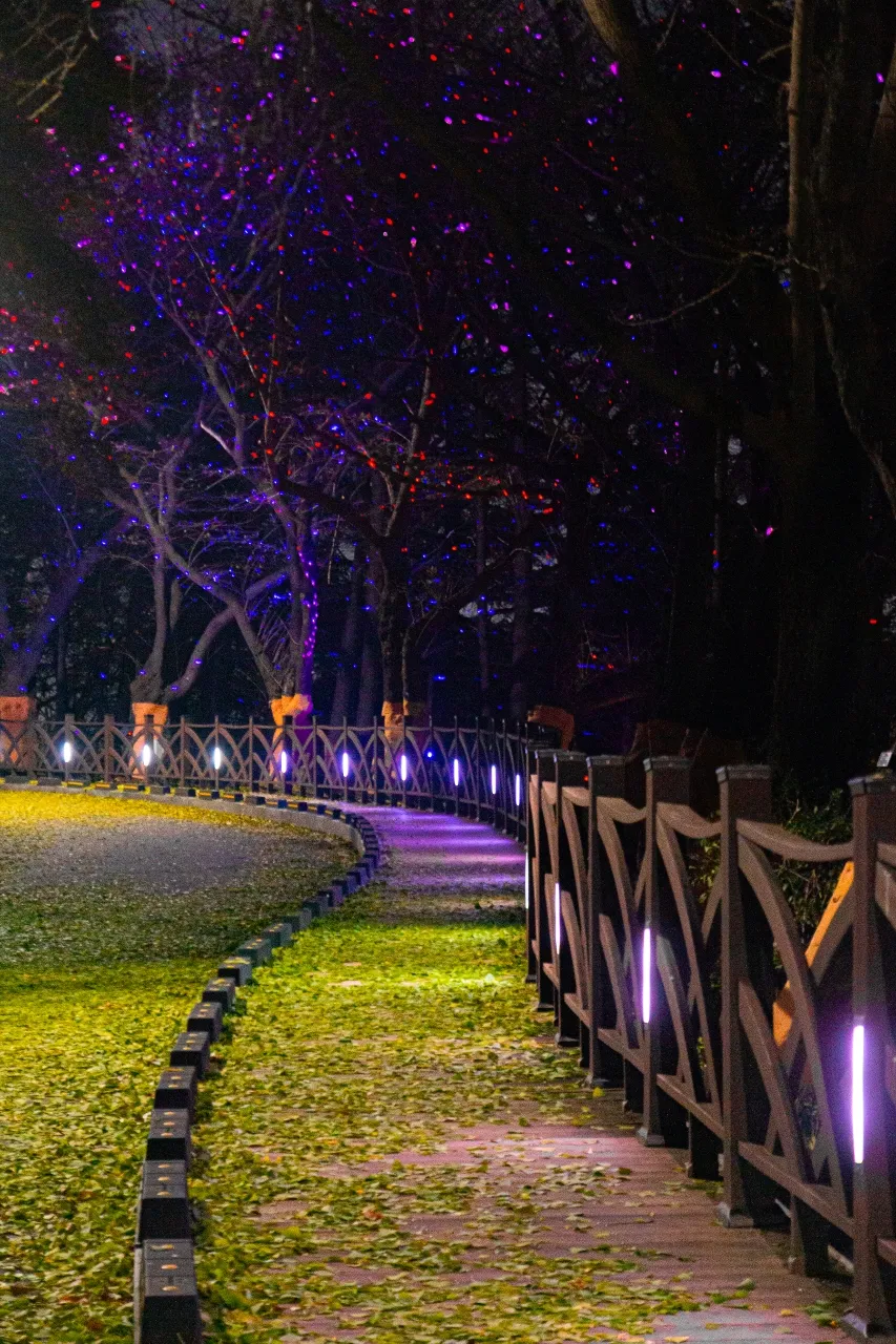 壽峰公園 — 以繽紛燈光妝點的林間小徑（2023年11月）