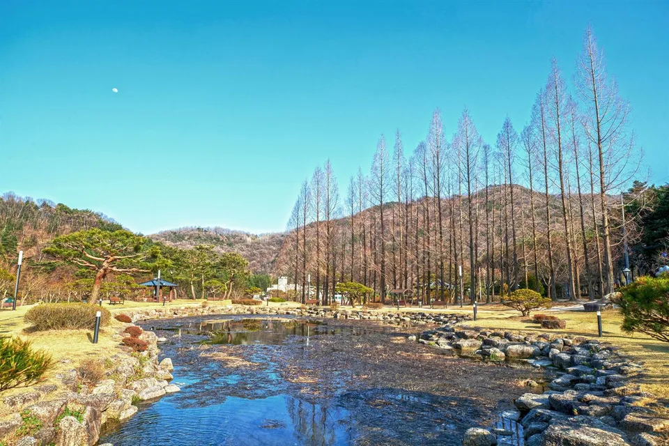 直指文化公園 — 以石頭環繞的公園水道與落羽松（2021年3月）
