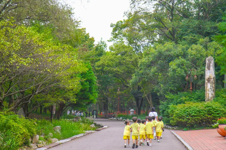 大邱樹木園 — 孩子們走在植物園散步道上（2023年9月）