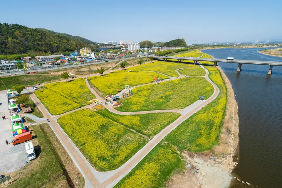 榮山江 — 榮山江畔油菜花公園與村莊景觀（2018年4月）