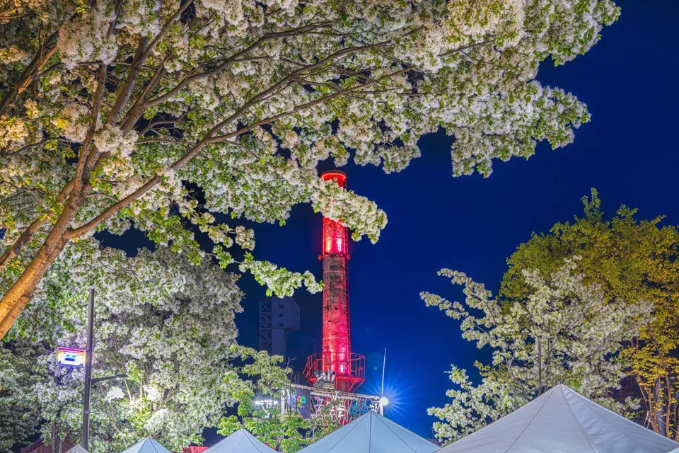 八福藝術工廠 — 被李花樹環繞的紅色煙囪夜景（2025年5月）