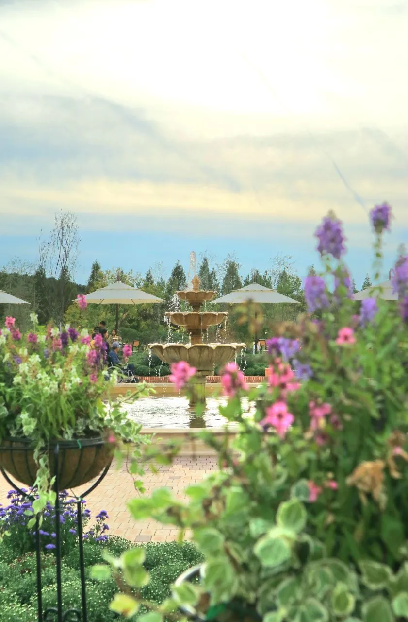水原 日月樹木園（수원 일월수목원） — 花朵與噴泉相映成趣的樹木園花園（2023年9月）（照片：韓國觀光公社觀光照片庫・攝影 최민희・公共授權第1類）