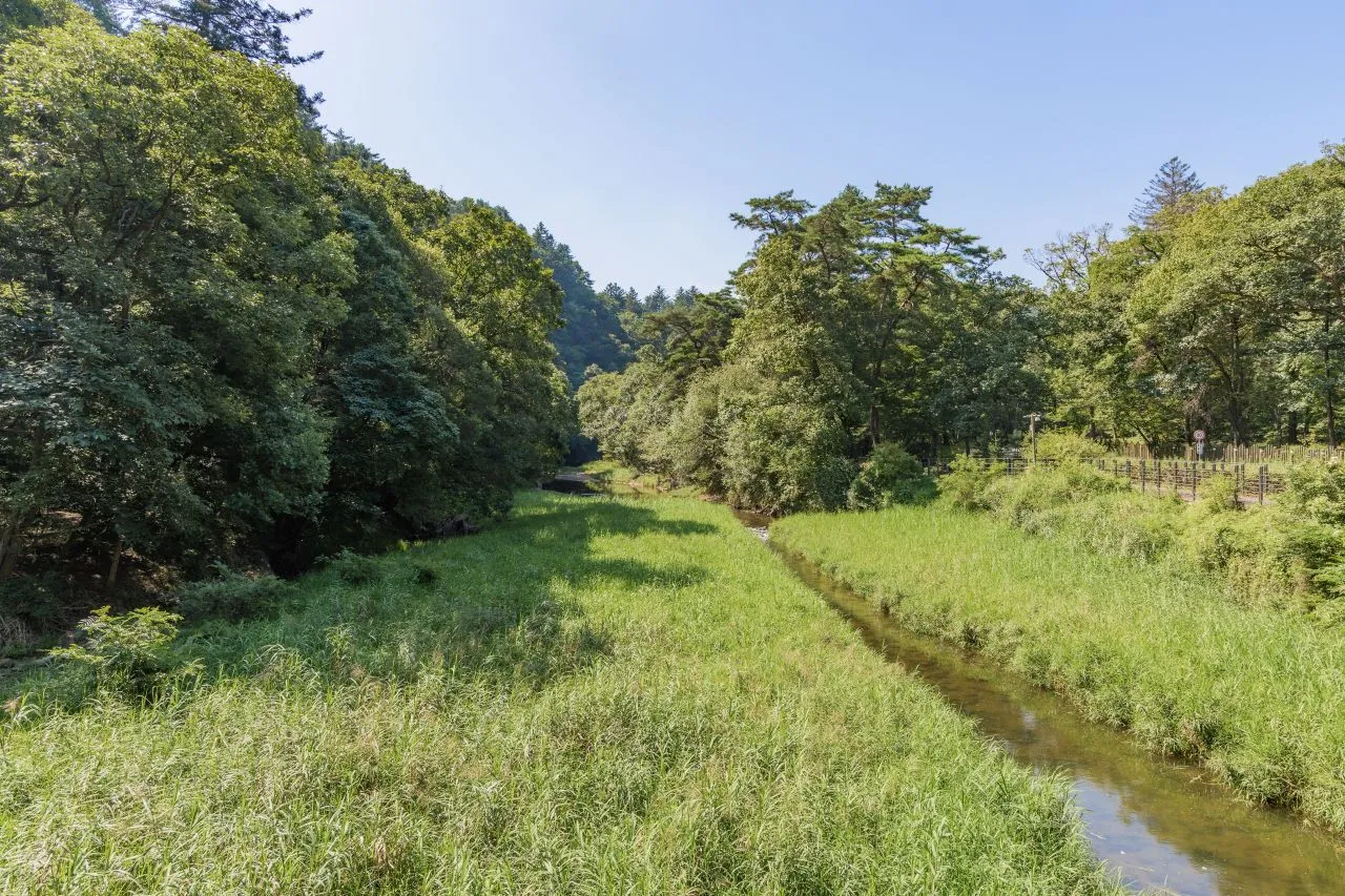 光陵森林步道 — 流經森林的小溪與茂密樹木（2024年8月）（照片：韓國觀光公社觀光照片庫・攝影 안영관・公共授權第1類）
