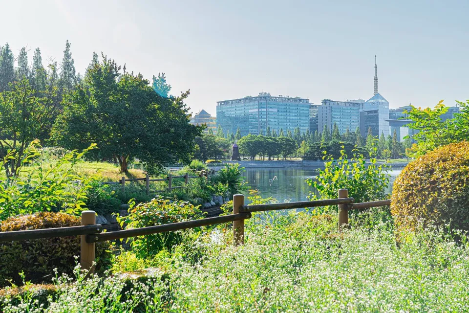 一山湖水公園 — 可眺望湖泊與都市建築的公園風景（2025年8月）