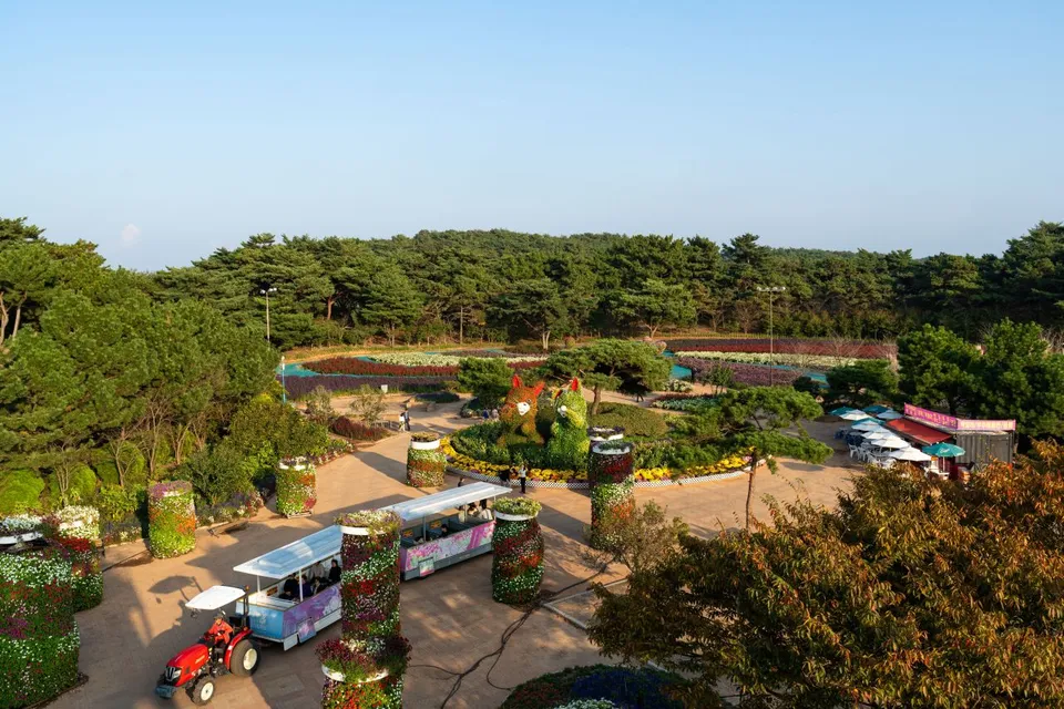 코리아플라워파크 — 有花田與花柱的戶外主題公園（2023年10月）
