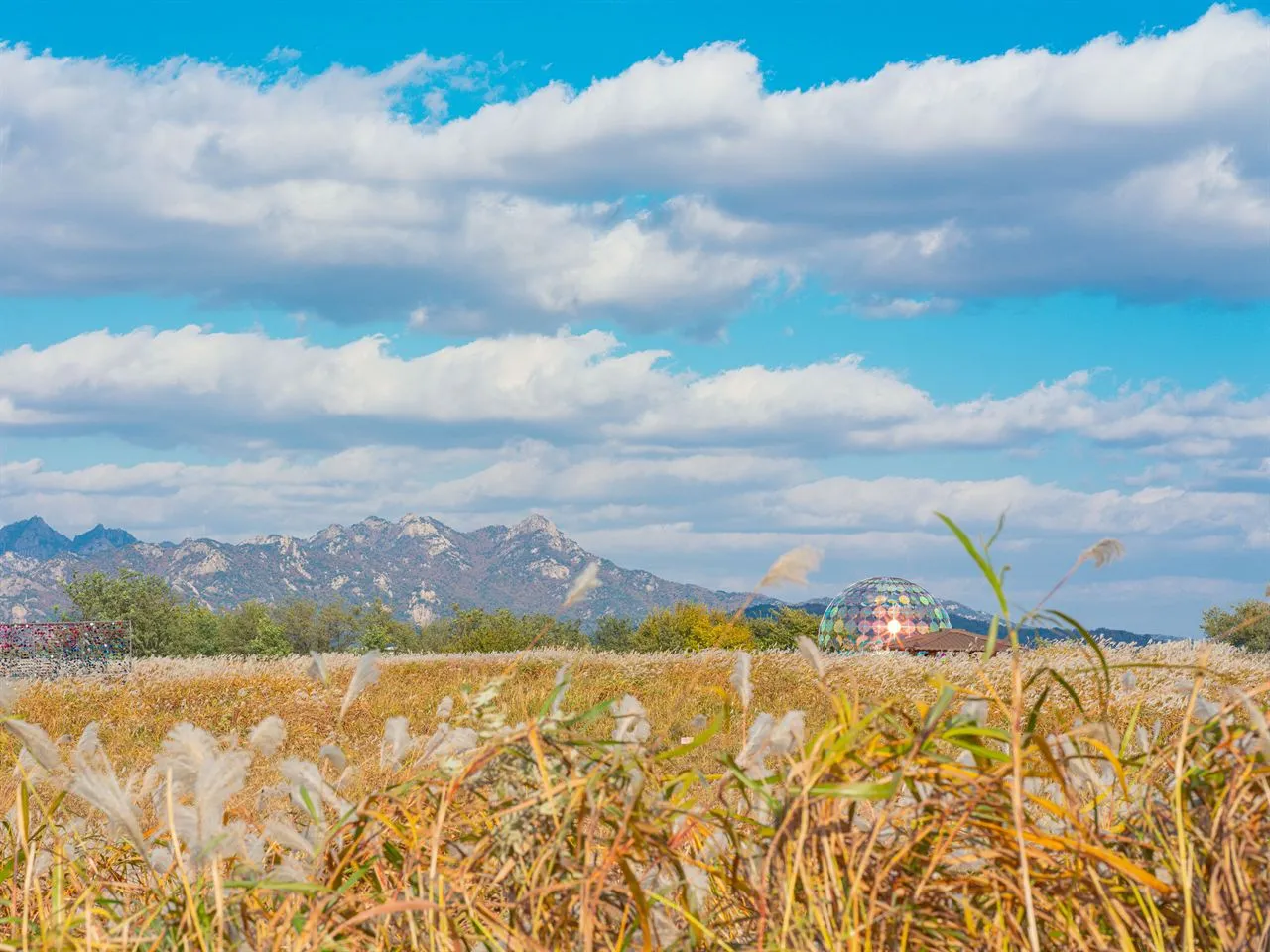 天空公園 — 芒草田與北漢山風景(2025年11月)(照片:韓國觀光公社觀光照片庫・攝影 서문교・公共授權第1類)