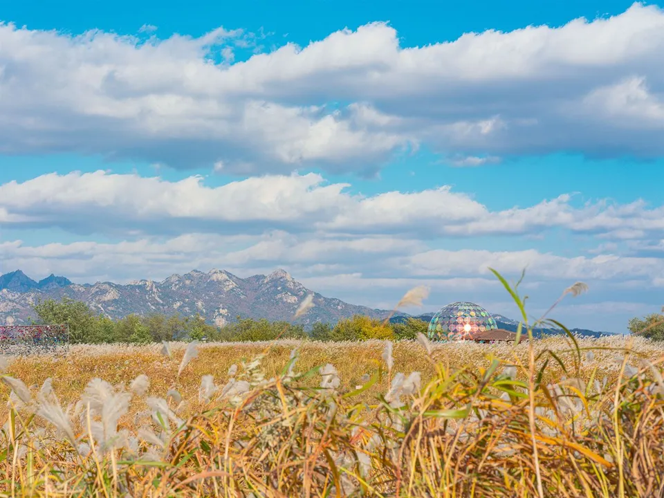 天空公園 — 芒草田與北漢山風景（2025年11月）
