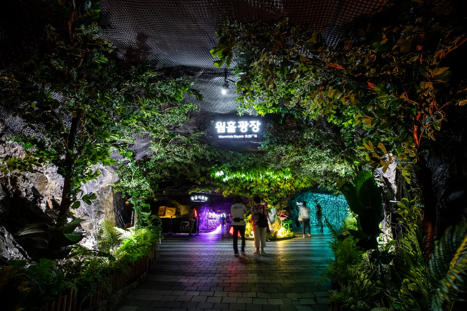 光明洞窟 — 植物與燈光相映成趣的洞窟蟲洞廣場（2018年8月）
