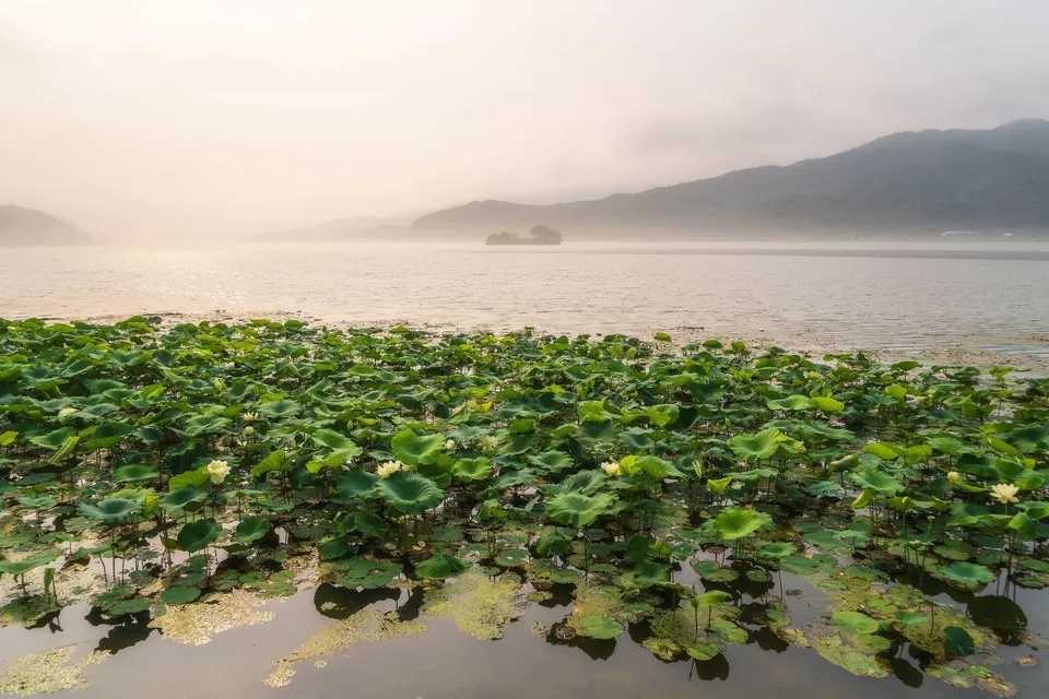 洗美苑 — 蓮花池另一側的湖泊與山景（2024年7月）