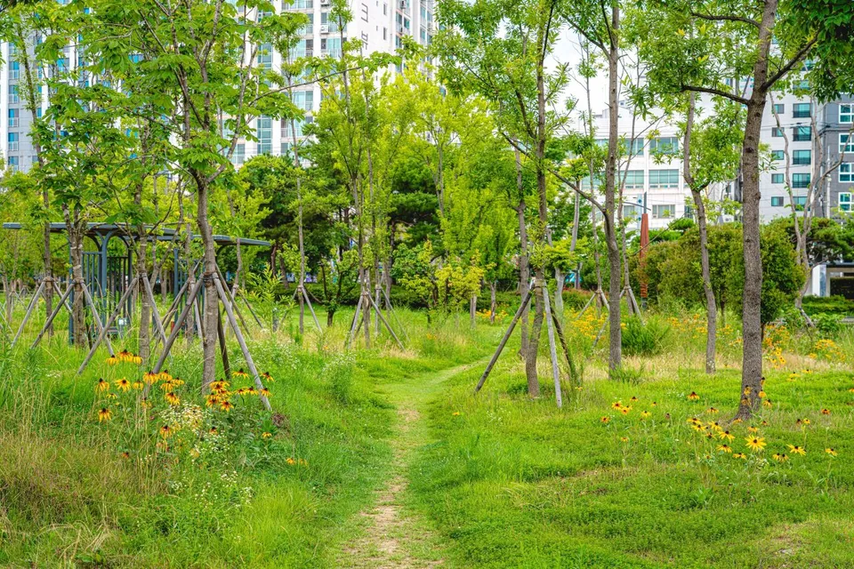釜山市民公園 — 釜山市民公園的樹木與野花散步道（2020年）
