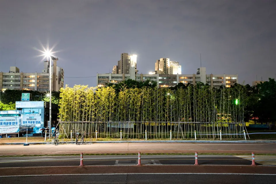 蠶院漢江公園 — 可見竹林與公寓的公園夜景（2020年5月）