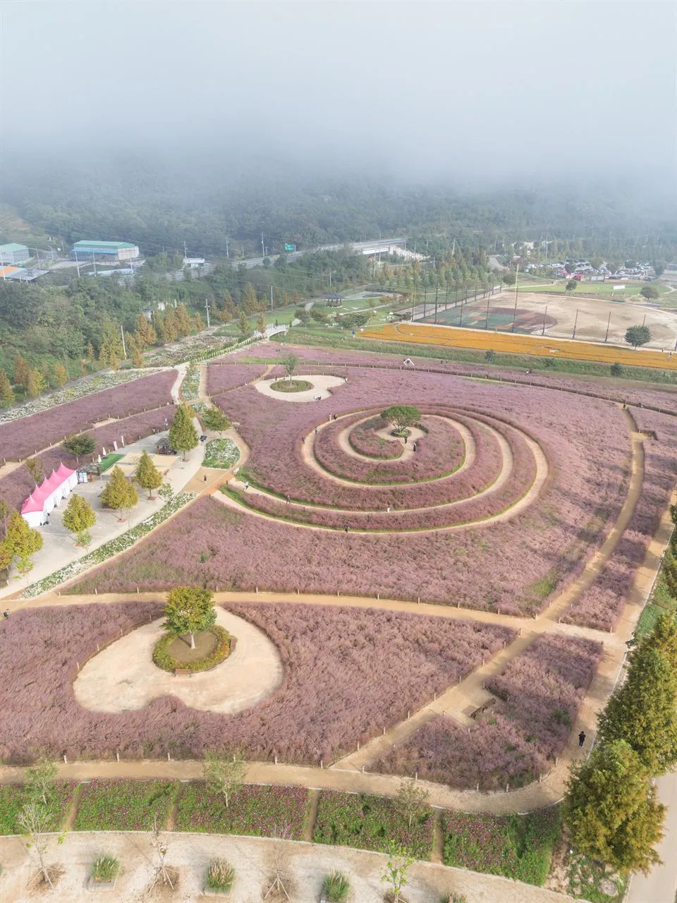 新昭陽體育公園 — 粉黛亂子草螺旋花田與體育設施空拍全景（2025年10月）