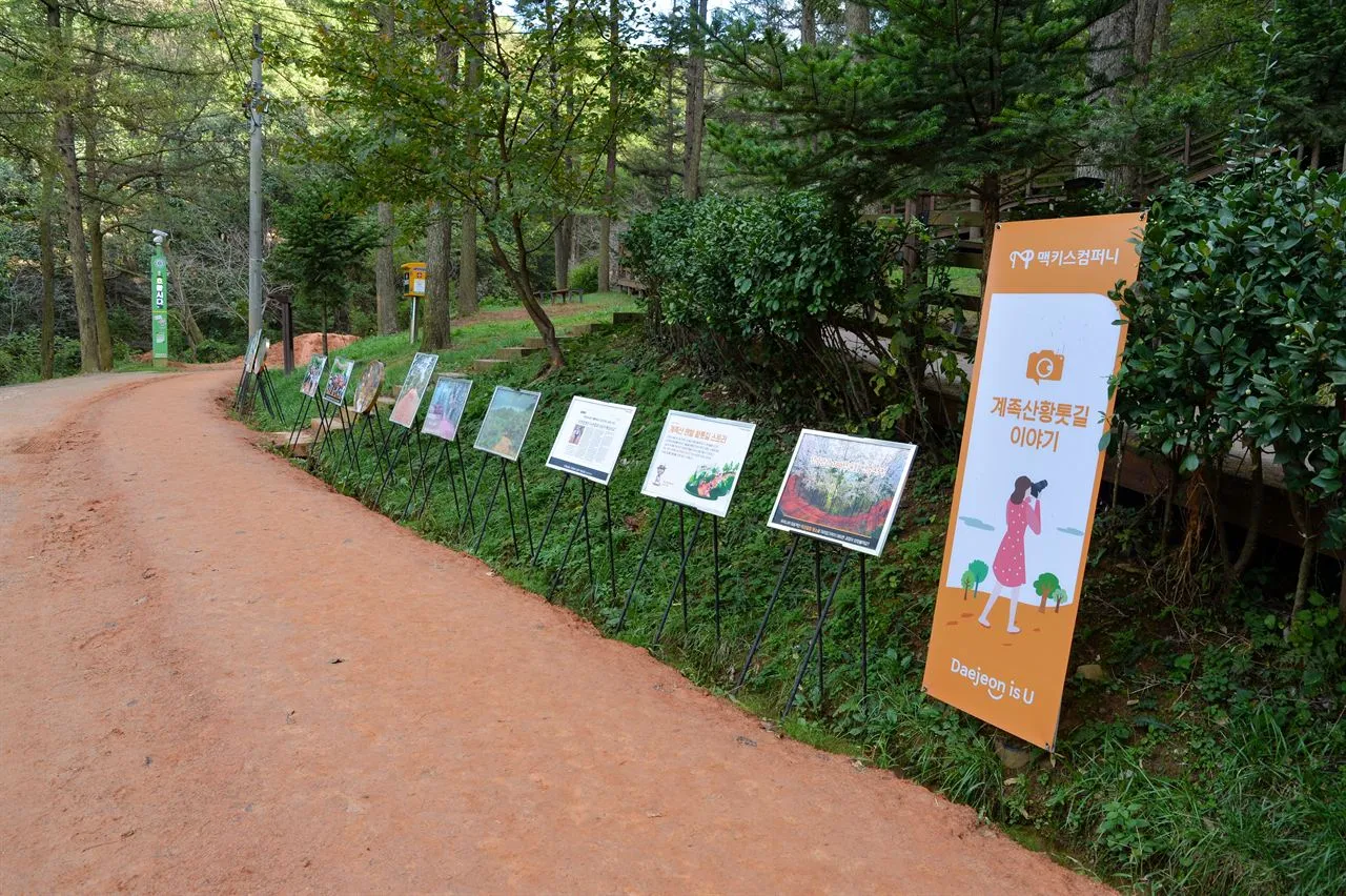 계족산 황톳길 — 전시 사진이 있는 숲속 황톳길 (2021년 10월) (사진: 한국관광공사 관광사진 갤러리 · 촬영 한국관광공사 송재근 · 공공누리 제1유형)