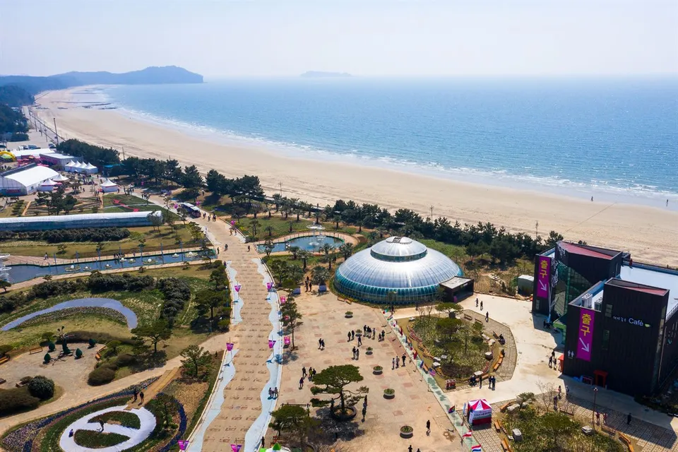 코리아플라워파크 — 可看見海灘與溫室的公園航拍全景（2019年4月）