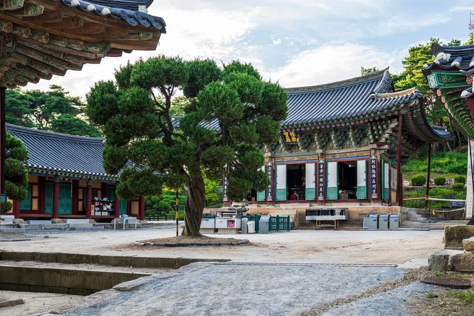 驪州神勒寺 — 傳統寺院建築與庭園（2021年10月）