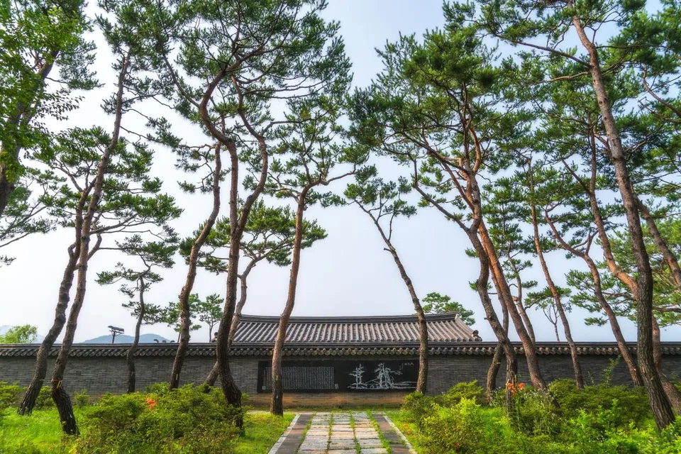 洗美苑 — 松樹與瓦片圍牆的散步道（2024年7月）
