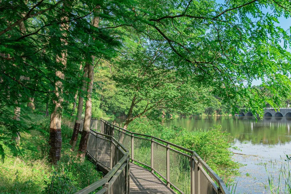 首爾大公園 — 首爾大公園湖畔步道與橋樑（2025年6月）