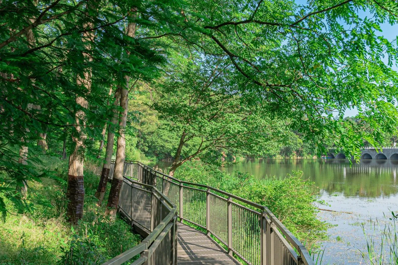 首爾大公園 — 首爾大公園湖畔步道與橋樑（2025年6月）（照片：韓國觀光公社觀光照片庫・攝影 김지연・公共授權第1類）